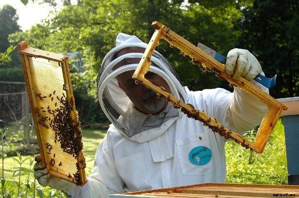 Beekeeping Training Centers; Institutes in India