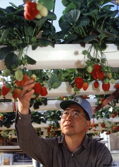 Hydroponic Training Centers, Institutes In India