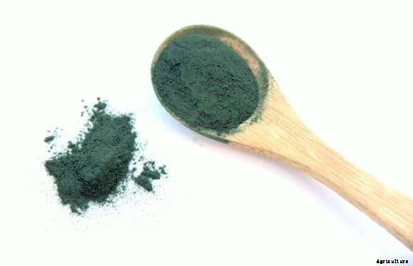 Spirulina Training Centers; Institutes In India