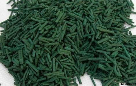 Spirulina Extraction Process; Methods; Techniques