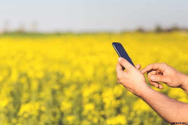 Horticulture Precision Farming; Technology; Advantages