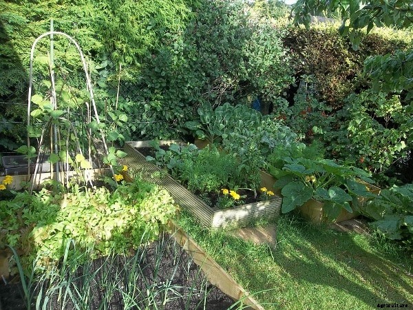 Community Garden Benefits, Types, History, Facts