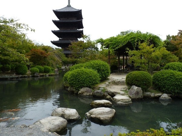 Japanese Garden Design, Elements, Plants, History, Facts