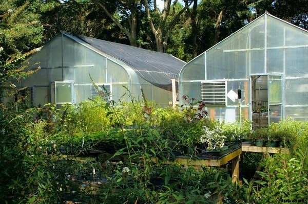 Greenhouse Farming Subsidy, Loan, How To Apply?