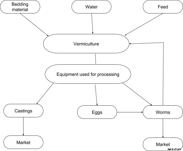 Vermiculture Process, Techniques, Worm Farming