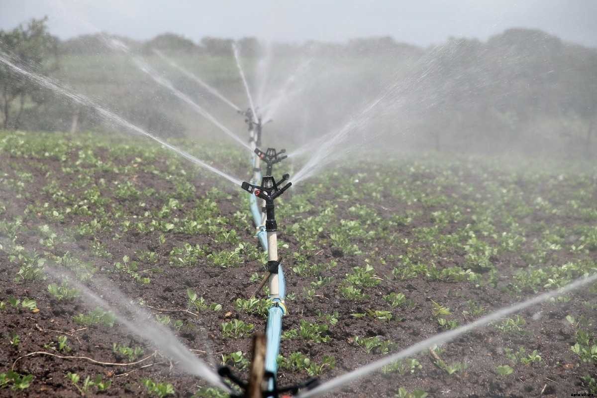 Frequently Asked Questions about Irrigation (FAQs)