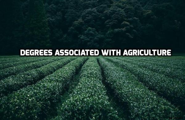 Agriculture Jobs In India and Related Courses