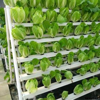 Vertical Hydroponic Farming Systems Information