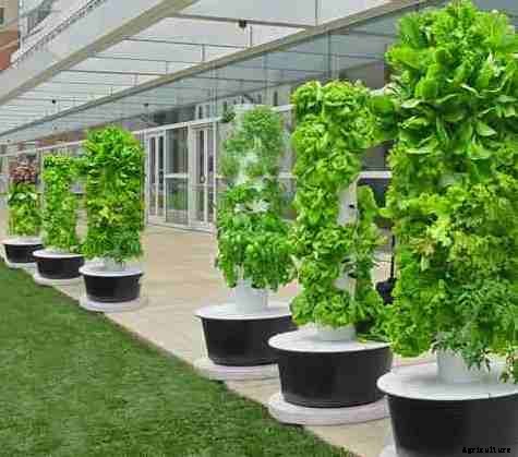 Vertical Hydroponic Farming Systems Information