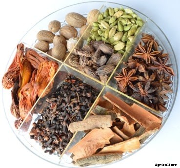 Spice Farming, Cultivation Practices