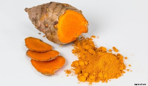 Spice Farming, Cultivation Practices