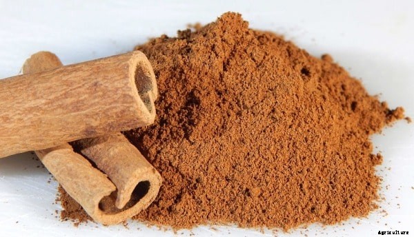 Spice Farming, Cultivation Practices