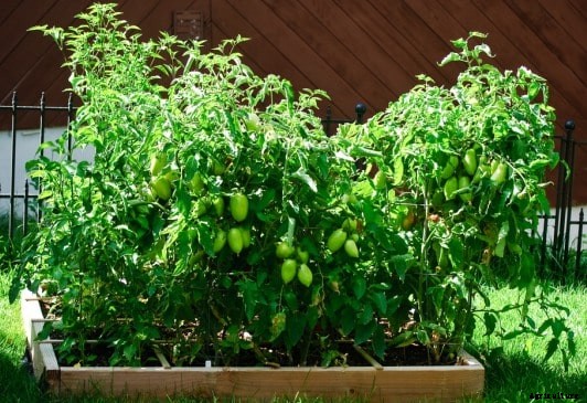 Square Foot Gardening Ideas and Tips