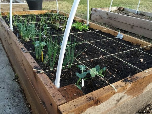 Square Foot Gardening Ideas and Tips