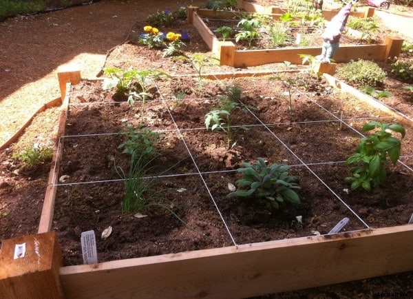 Square Foot Gardening Ideas and Tips