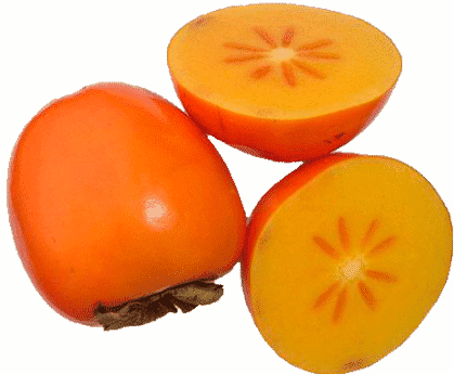Growing Persimmons Information Guide