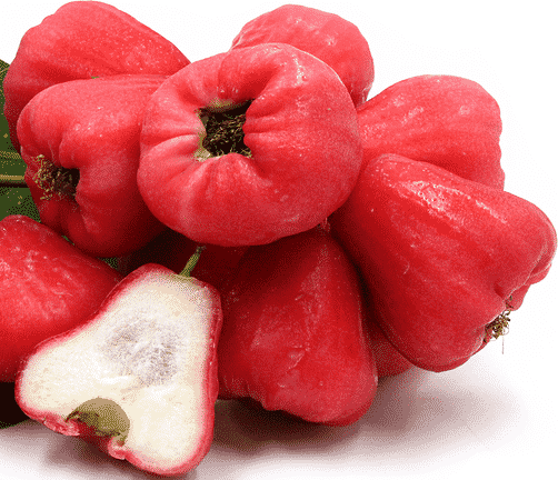 Rose Apple Growing (Wax Apple) Guide