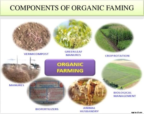 Organic Agriculture Information Guide