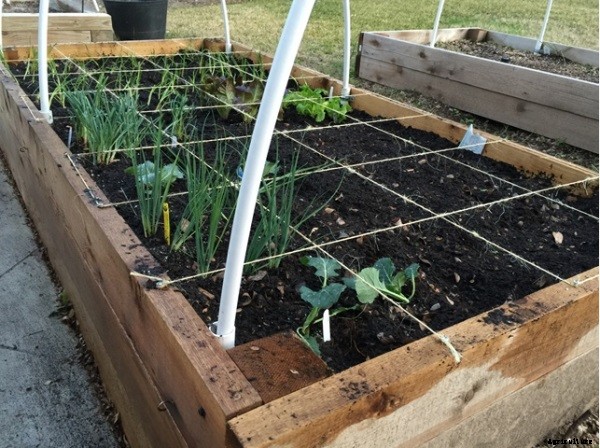 Seedbed Preparation Information Guide