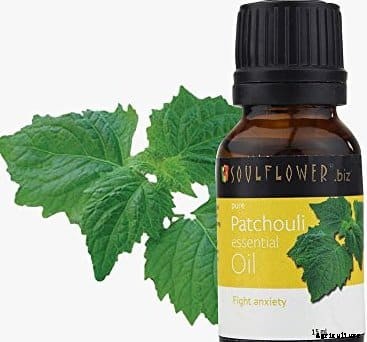 Patchouli Farming Information Guide