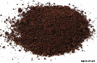 Vanilla Cultivation Information Guide