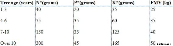 Avocado Fruit Farming Information Guide