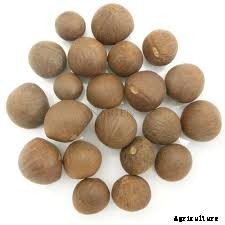 Tea Farming Information Detailed Guide