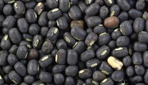 Black Gram Cultivation (Urad Dal)  Guide