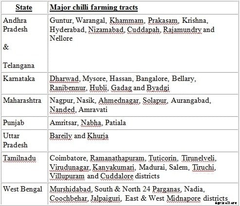 Chilli Farming; Pepper Farming – A Full Guide