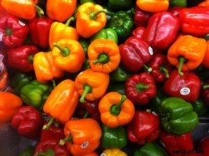 Capsicum Farming (Colored), Bell Pepper Cultivation Tips