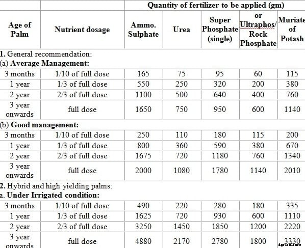 Coconut Farming; Planting, Growing, Care, Harvesting