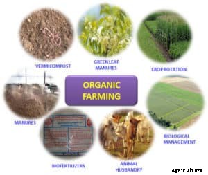 Organic Farming Techniques, Tips, Ideas in India