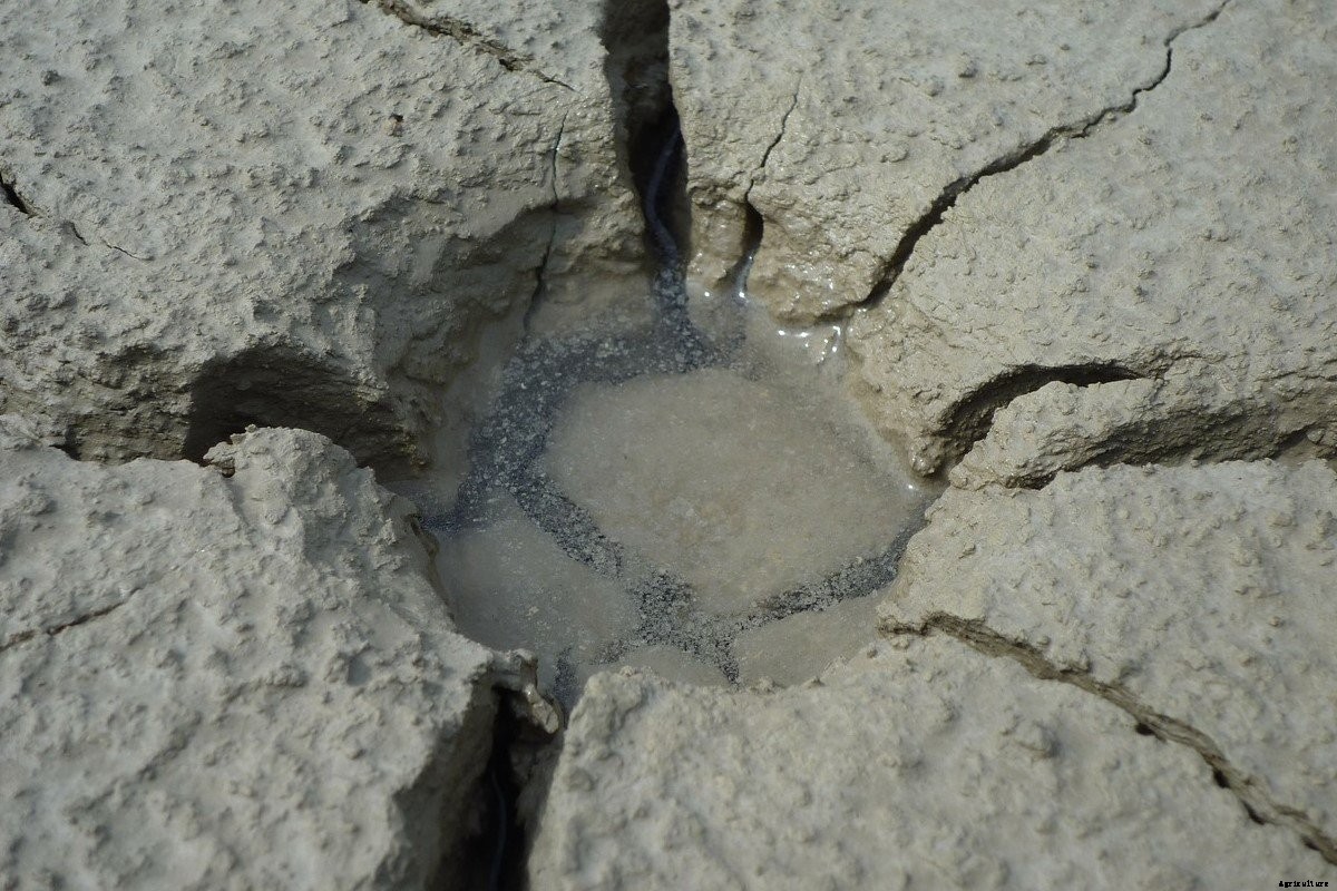 Benefits of Humus to Improve Soil Fertility