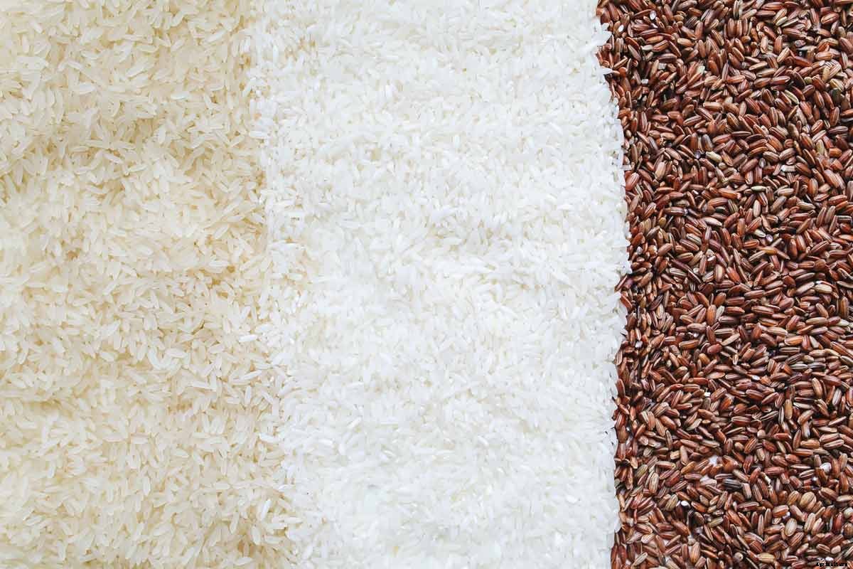 How To Grow Rice; Step-by-Step