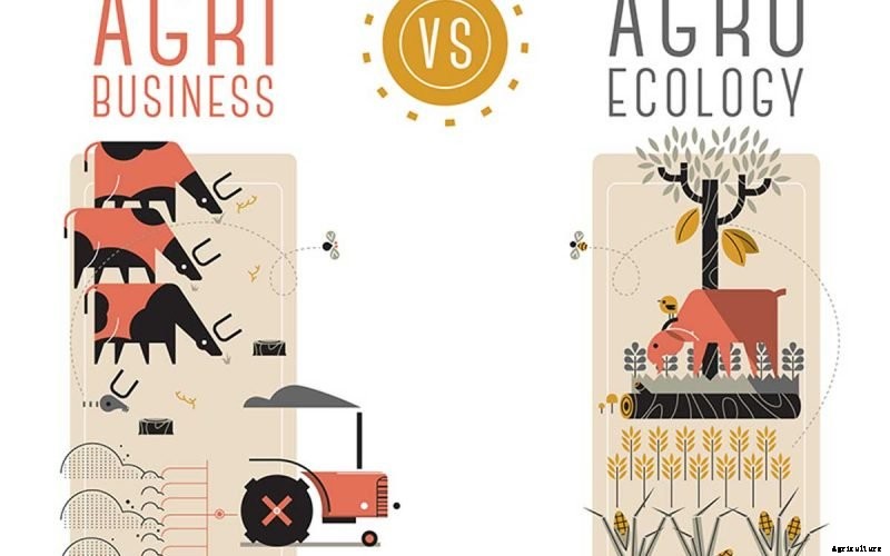 Agroecology; Benefits, Principles,  Levels and Examples