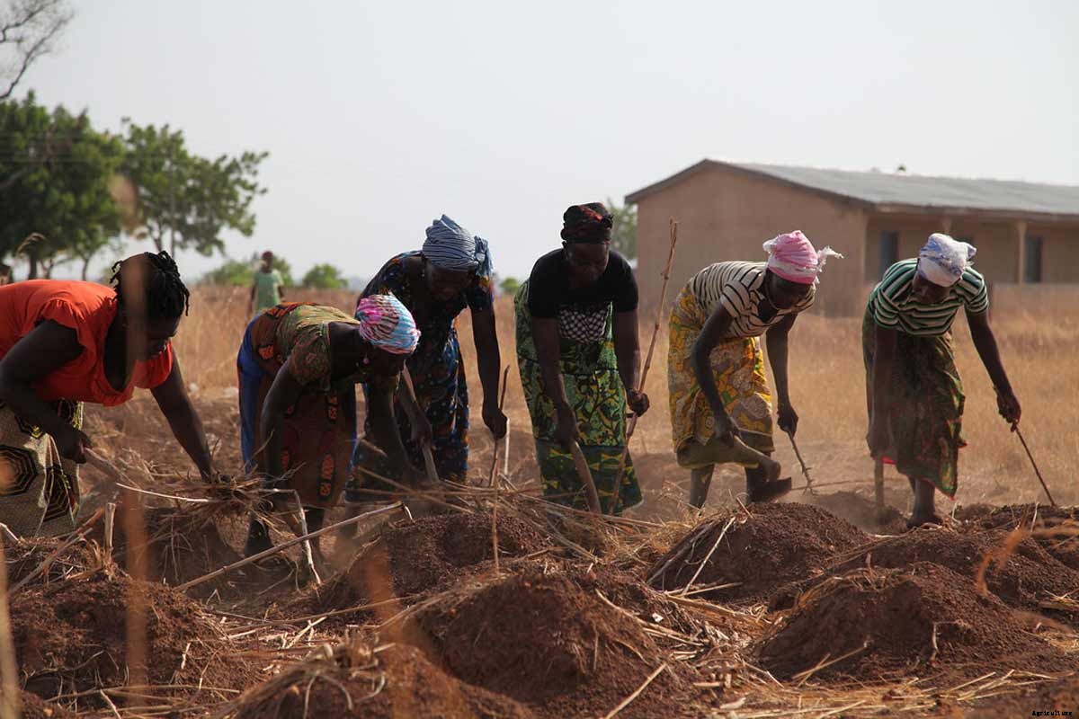 Agroecology; Benefits, Principles, Levels and Examples