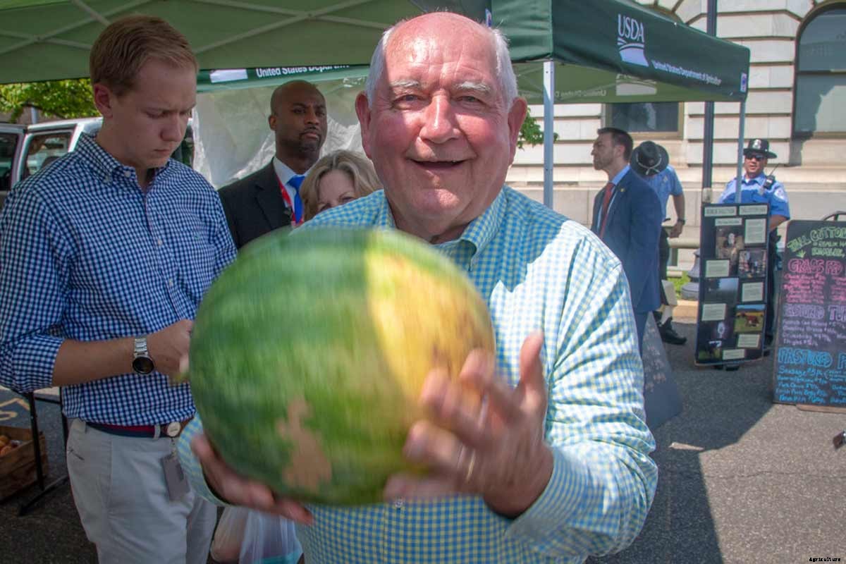 Agroecology; Benefits, Principles, Levels and Examples