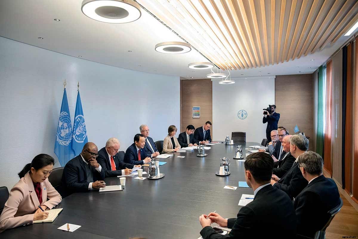 Over-Cultivation; Causes, Effects and Solutions