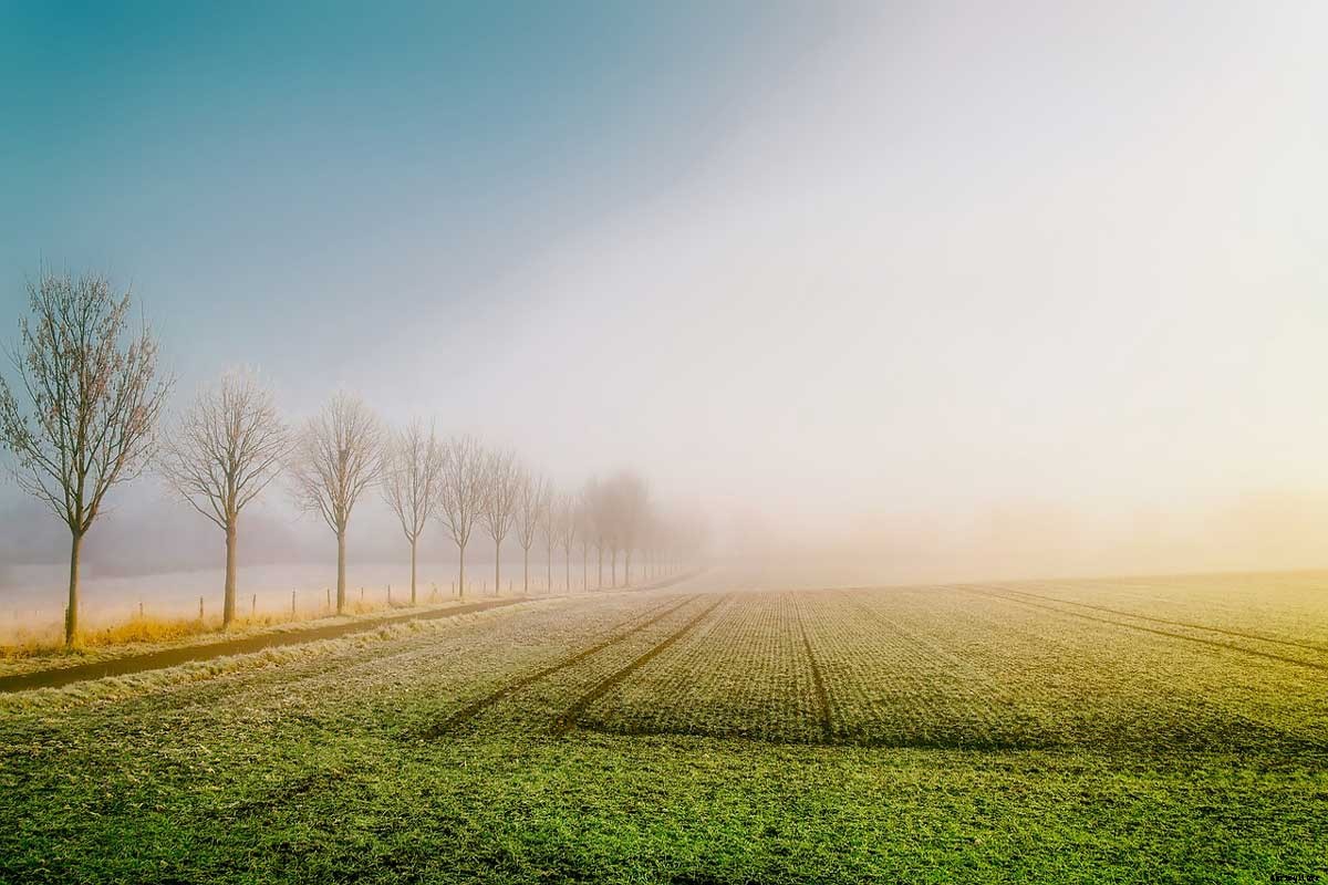 24 Amazing Soil Conservation Methods and Practices