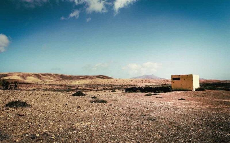 How to Repair Damaged Soil? Best Tips and Tricks