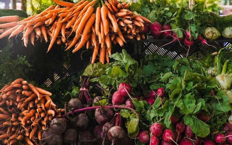 Importance of Biodiversity in Agriculture