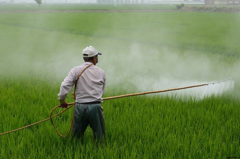 ﻿Effects of Pesticides on the Environment and Farmers