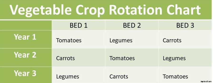 Crop Rotation; Examples, Benefits, Cons and DIY kit