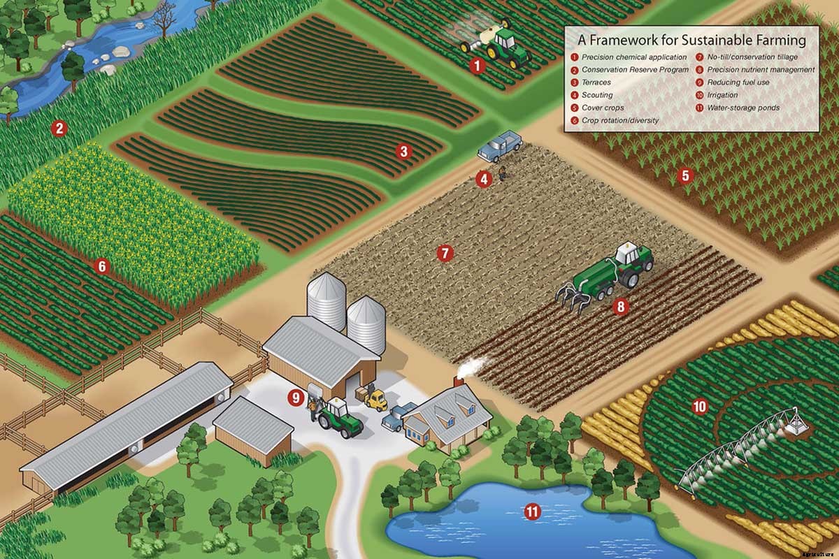 Sustainable Farming; Principles, 10 Methods and 14 Benefits!