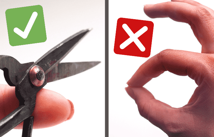 How To Increase Pepper Plant Yield