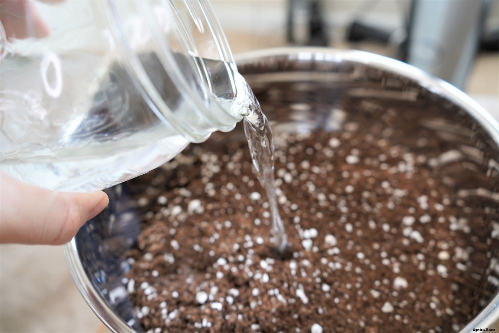 Growing Peppers Indoors – Year Round Pepper Harvests