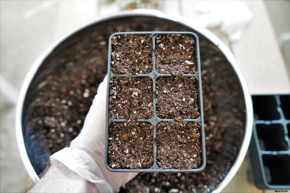 Growing Peppers Indoors – Year Round Pepper Harvests