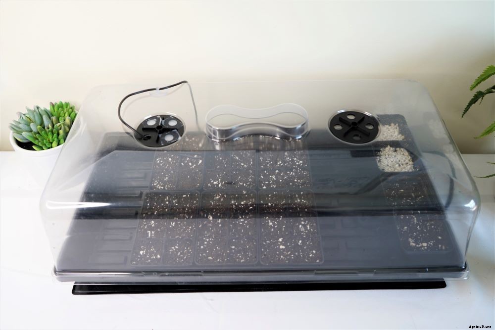 Growing Peppers Indoors – Year Round Pepper Harvests