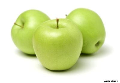 Granny Smith Apple Care: How To Grow Granny Smith Apples
