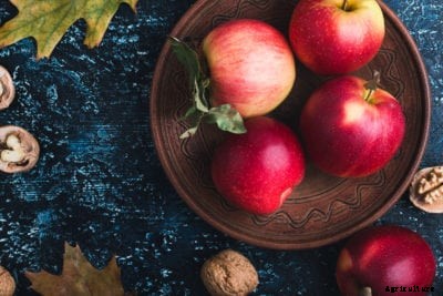 Red Apple Varieties – Common Apples That Are Red